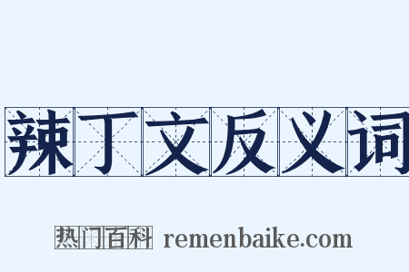 辣丁文反义词是什么意思的图片